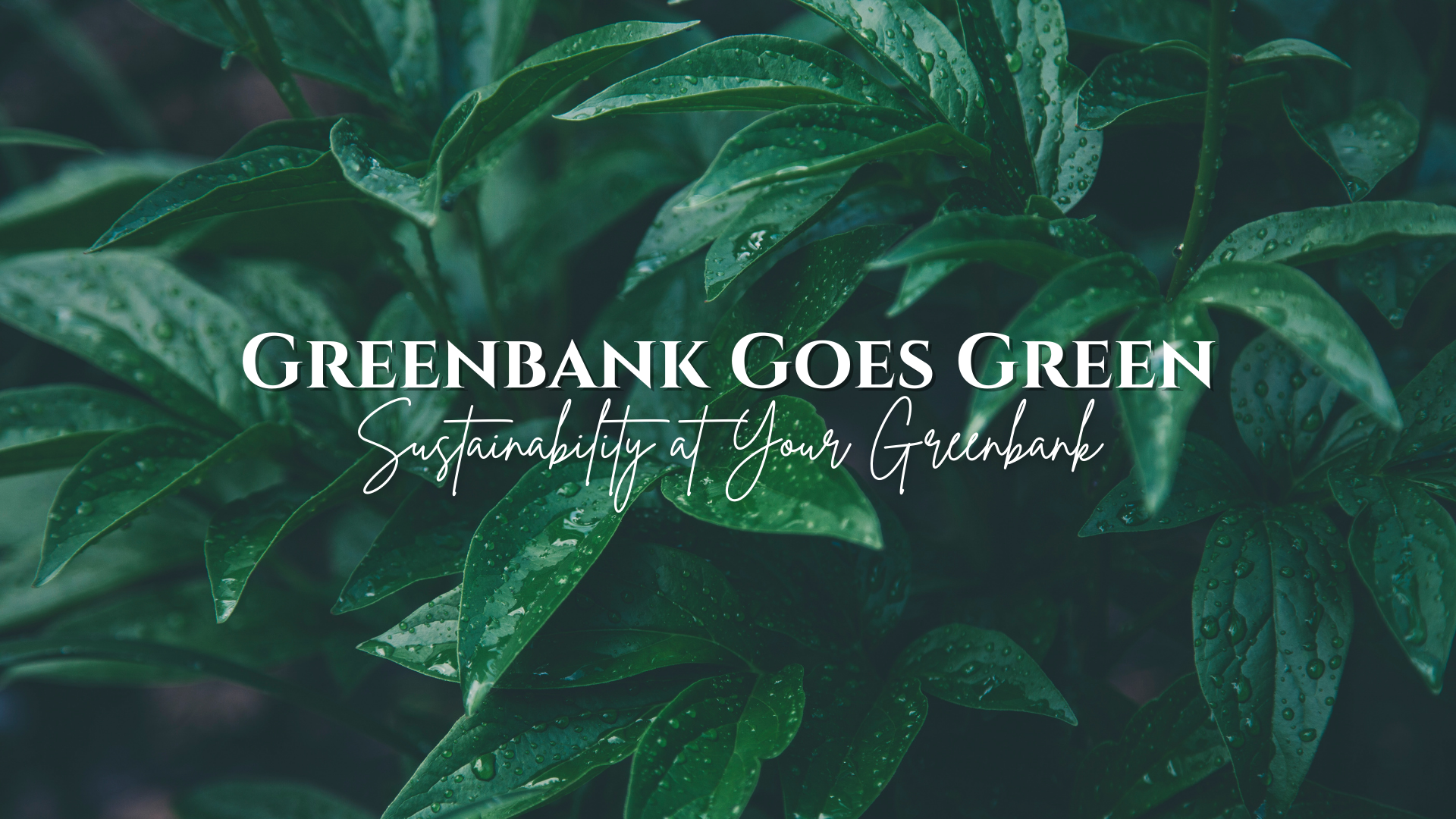 Greenbank Goes Green